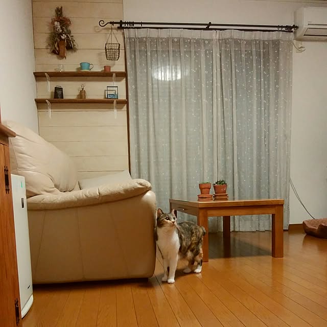 tomo1220さんの実例写真