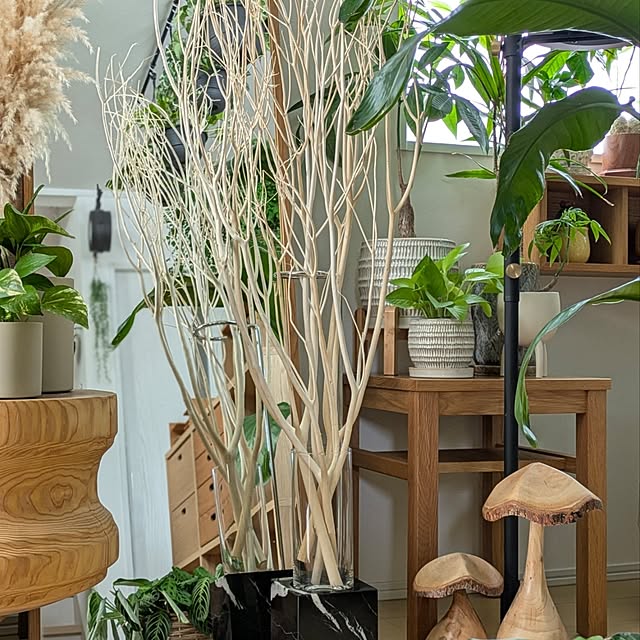 ayamameさんの部屋