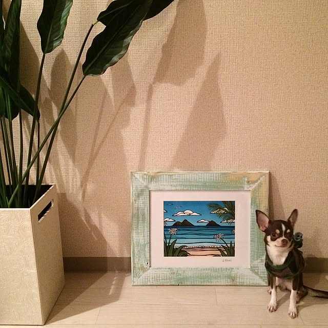 nayukonaさんの実例写真