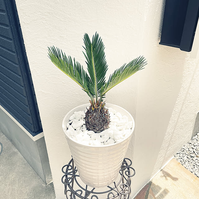 ALOHAさんの実例写真