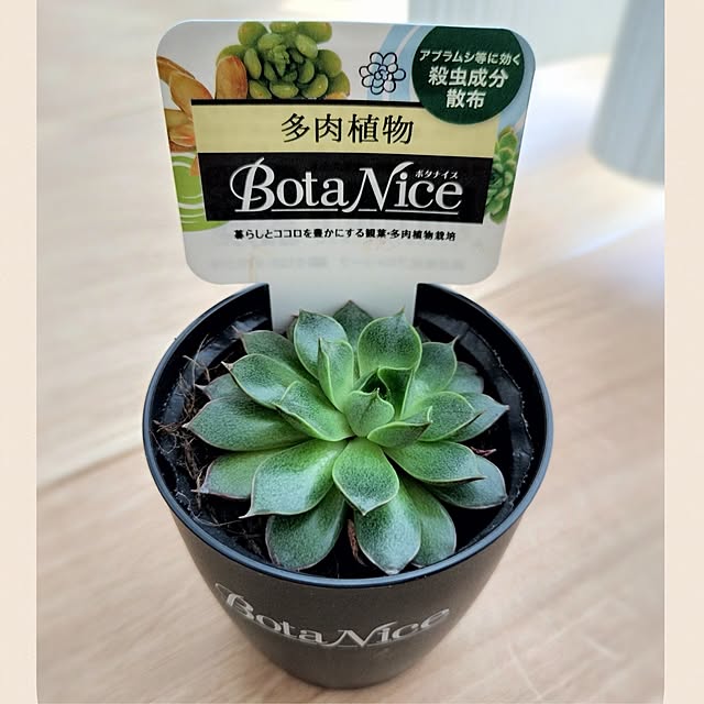 pecoさんの実例写真