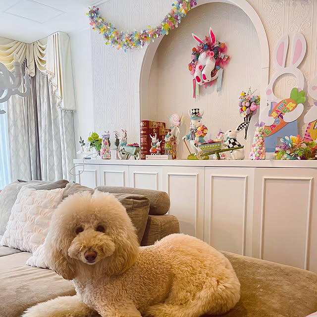 nackeyさんの実例写真