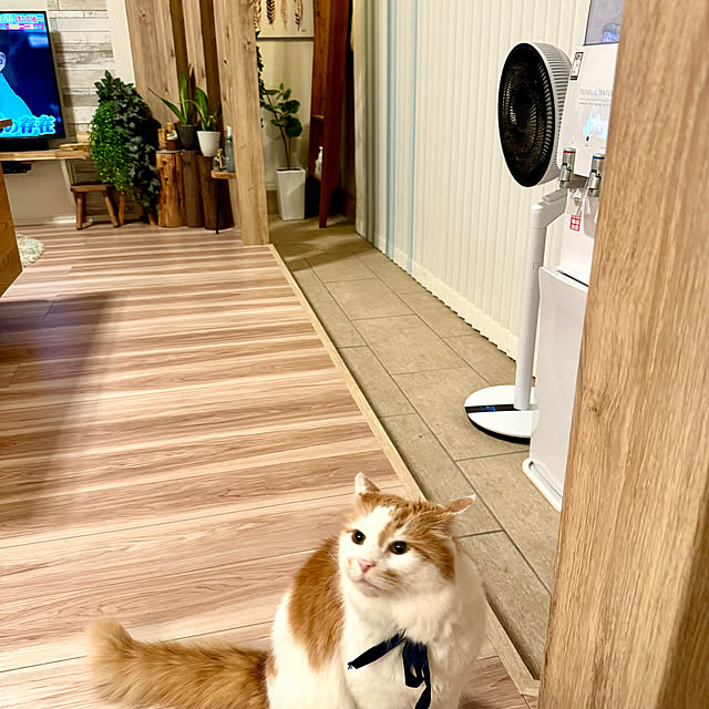 yutaさんの部屋