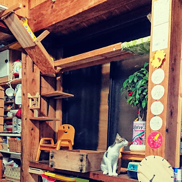 kikuさんの実例写真