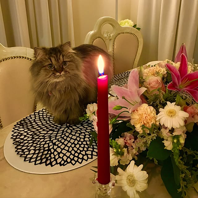 musicsukiさんの実例写真