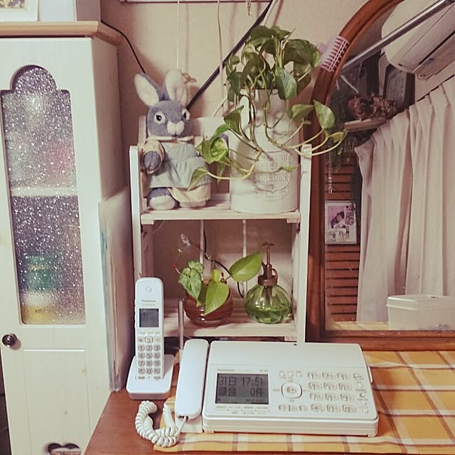 Mayumiさんの実例写真