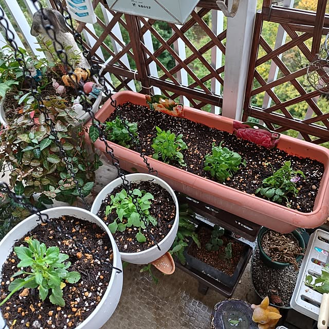 mariaさんの部屋