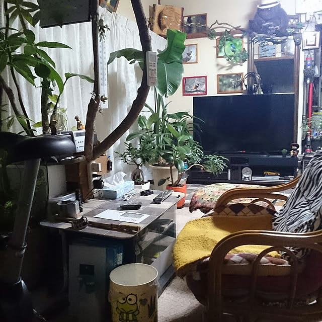 部屋全体のインテリア実例 - 2020-04-11 20:12:30