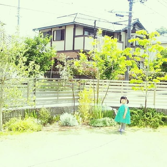 実例写真