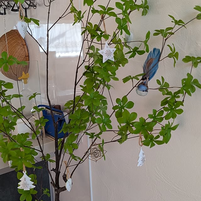 Maroさんの実例写真