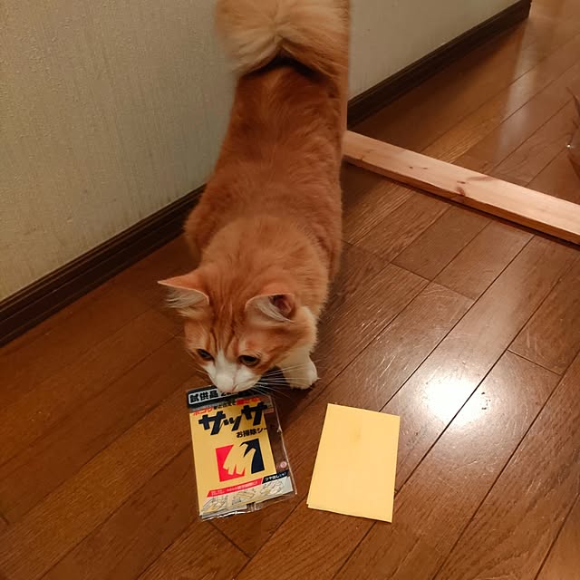 mori_6_12さんの部屋