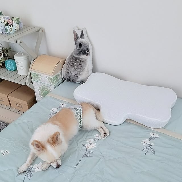 PAOさんの部屋
