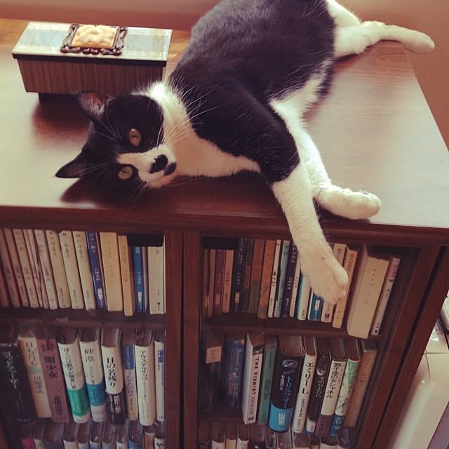 utataneさんの実例写真