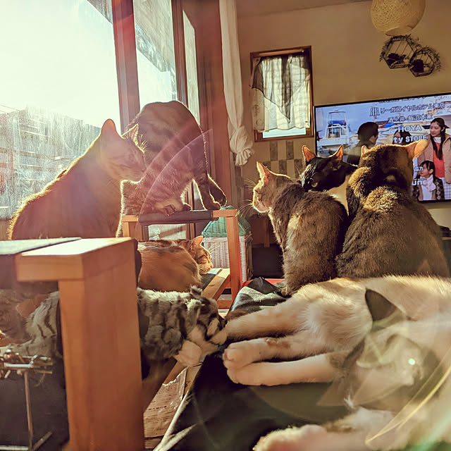 uchizukonyanさんの部屋
