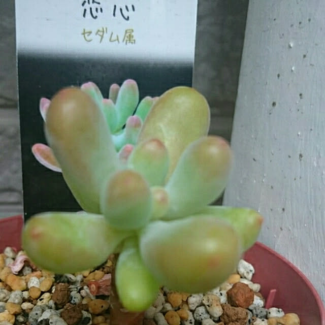 hideさんの実例写真