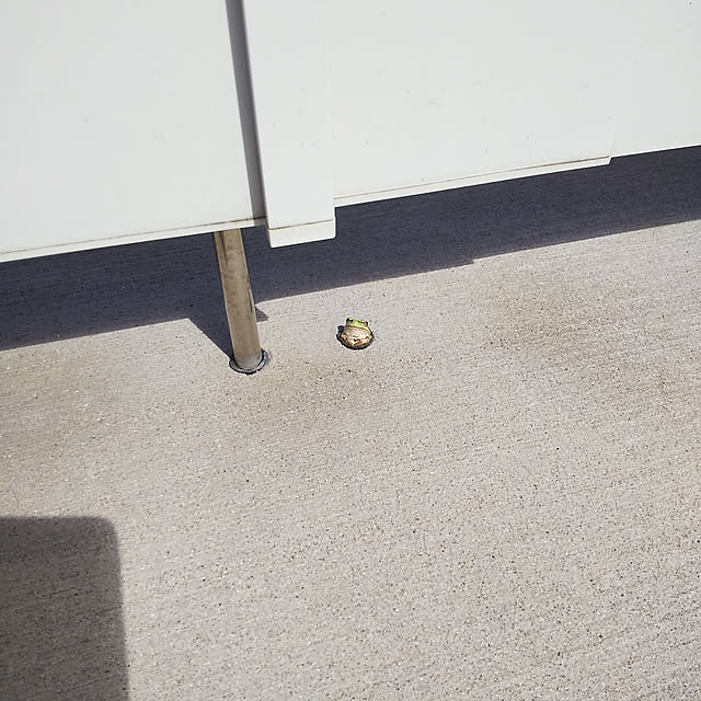 kakkoさんの実例写真