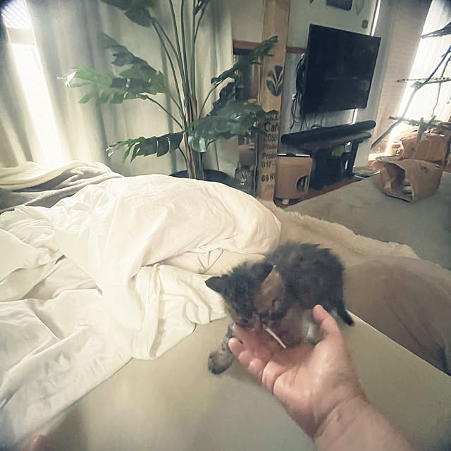 Mさんの部屋