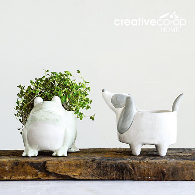 バス/トイレ/creativeco-opHOME/観葉植物/グリーン/わんこ...などのインテリア実例 - 2018-04-21 18:27:55