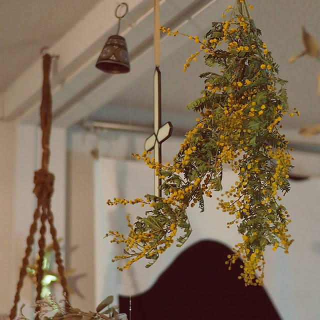 gorikakoさんの実例写真