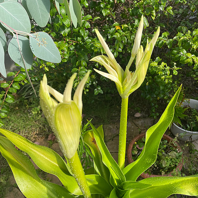 kuikoさんの部屋