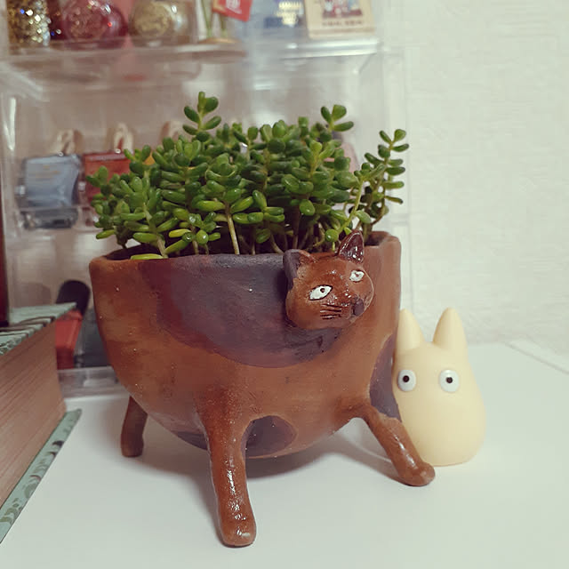 chisaviさんの実例写真