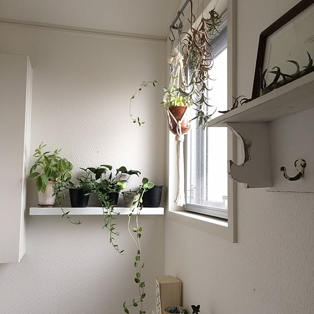 a2500さんの部屋