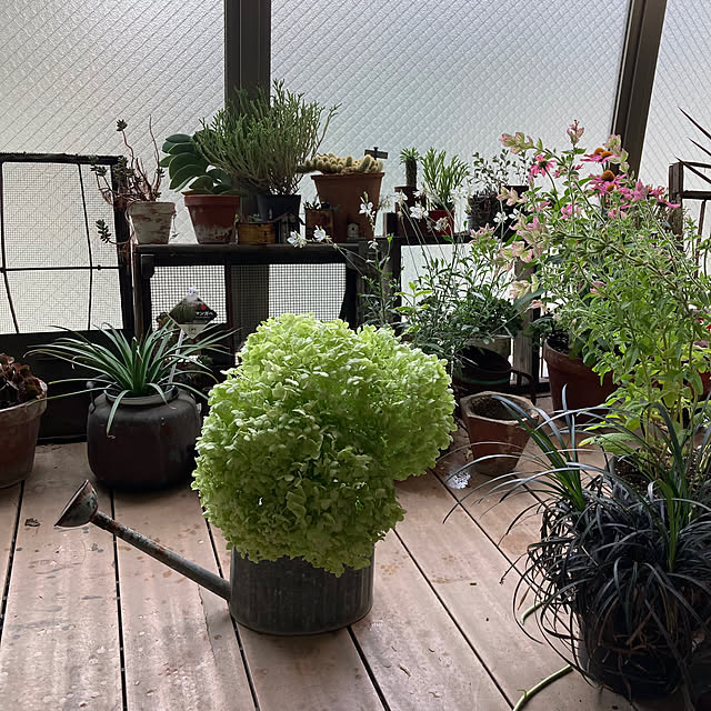 izumiさんの部屋