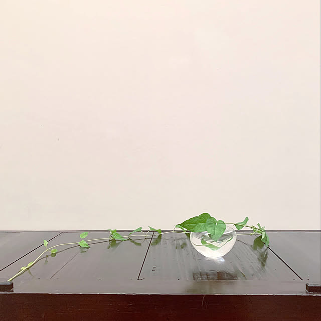 igukenさんの実例写真