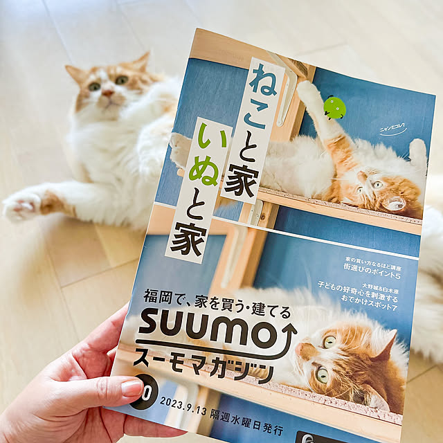 Reikoさんの実例写真