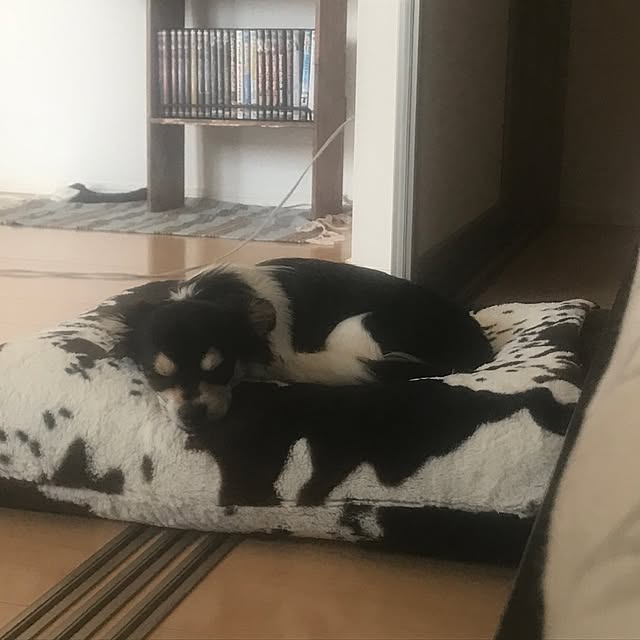 rrrさんの実例写真