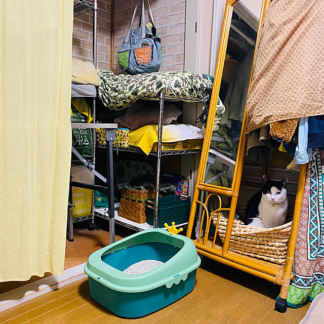 SHIHOさんの実例写真