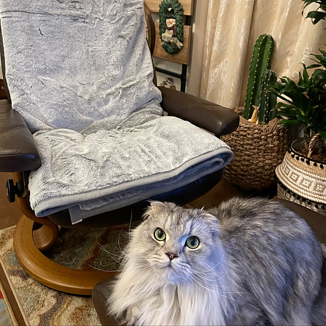 hirominさんの実例写真