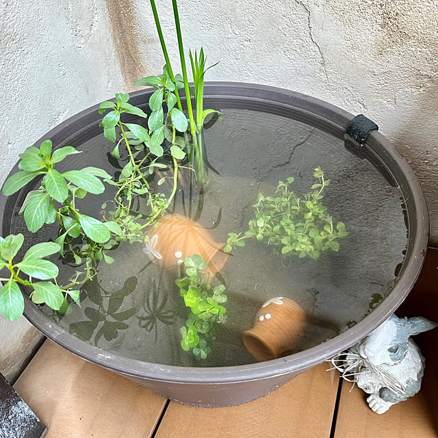tabasaさんの部屋