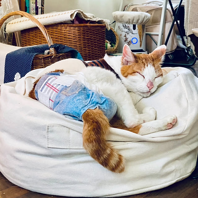 YUKAさんの部屋