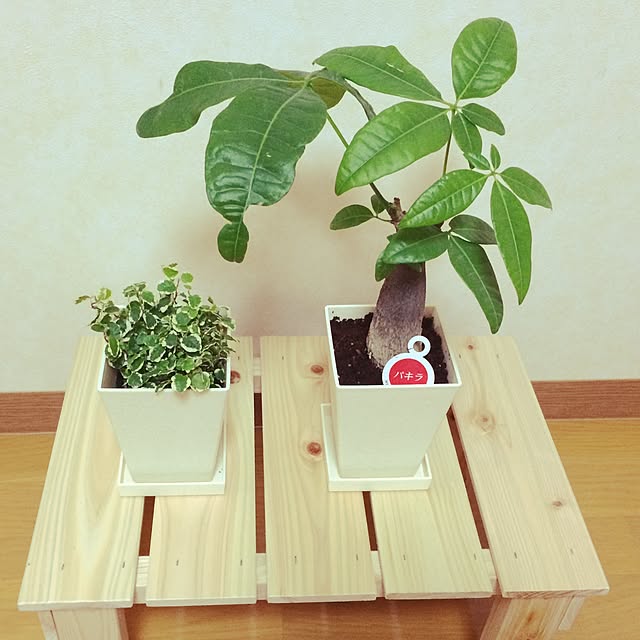 sachikoさんの部屋