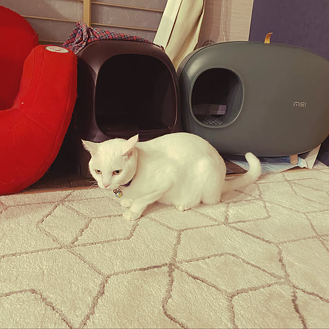 hanaさんの実例写真