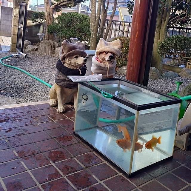 NOAHさんの部屋