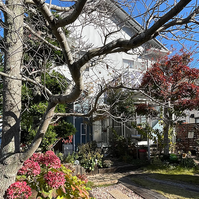 nobikoさんのお部屋の写真