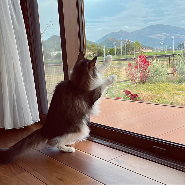 a-house2019さんの実例写真