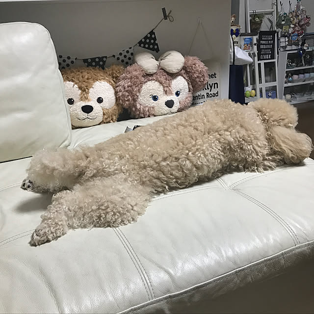 yuki89さんの実例写真