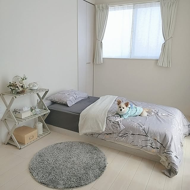 PAOさんの実例写真