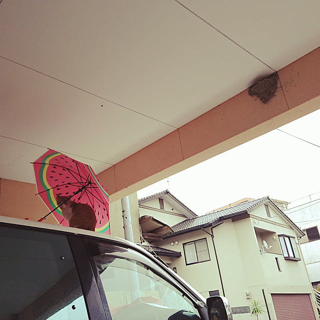 uchizukonyanさんの実例写真