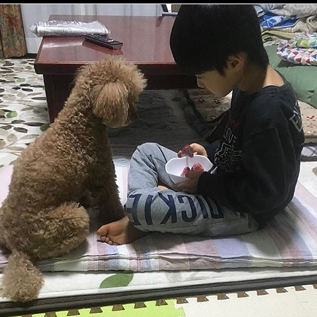 ash1024さんの実例写真