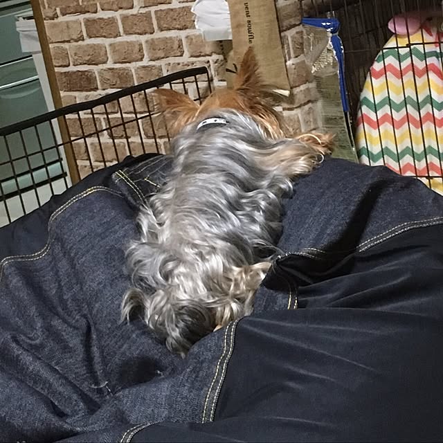 ToshiKoさんの実例写真