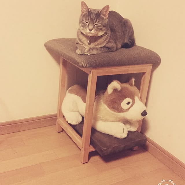 oyumiさんの実例写真