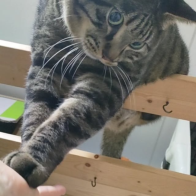 mori_6_12さんの部屋
