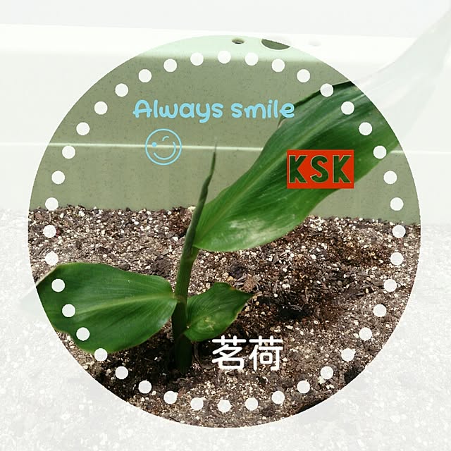 kskさんの実例写真
