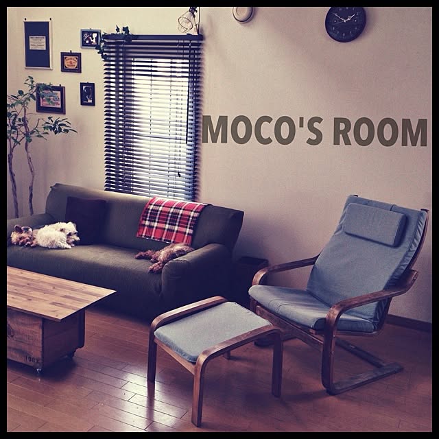 mocoさんの実例写真