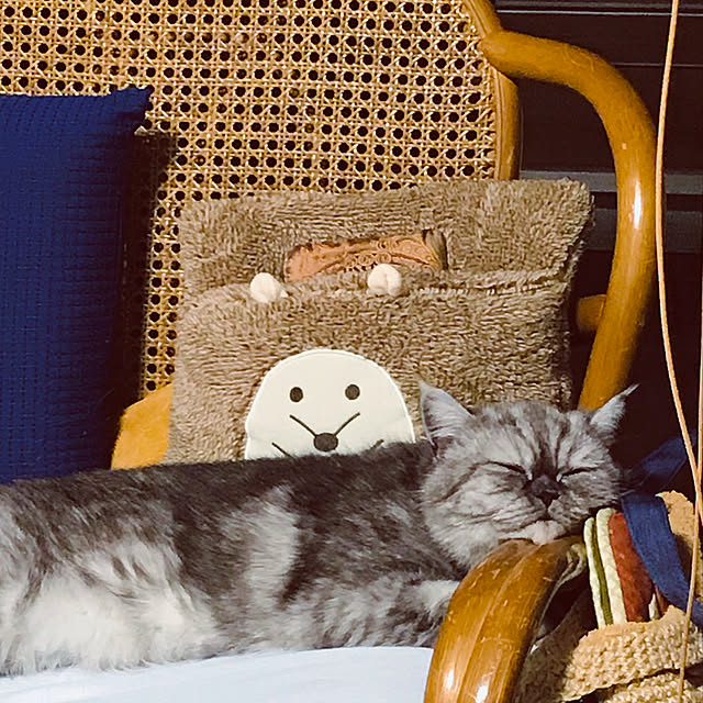 Marinさんの実例写真