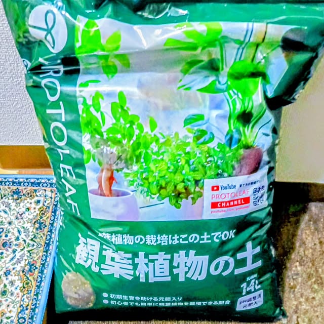 hanachanさんの部屋
